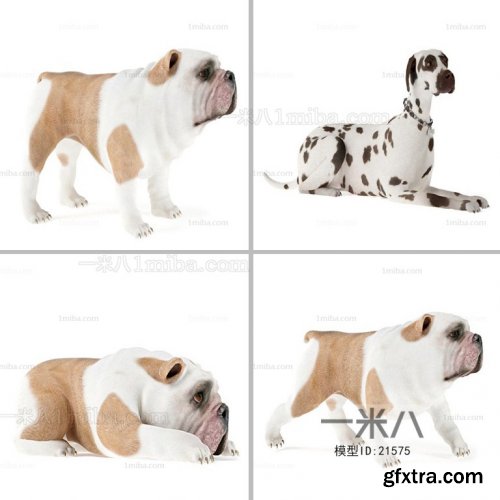 Dog 3d models