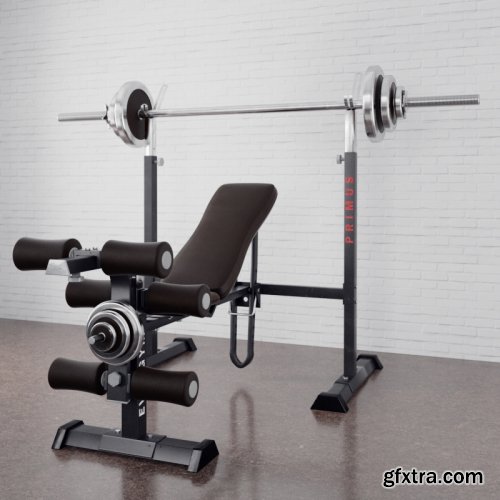 Gym equipment 3D model