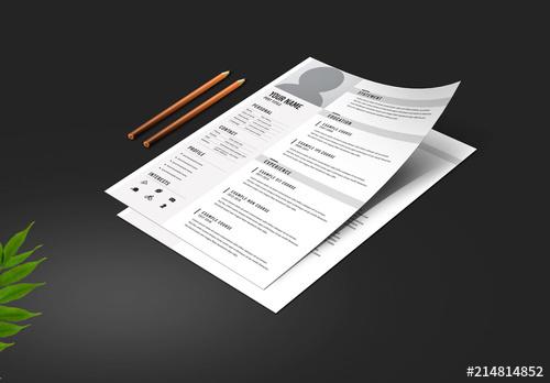 Resume Layout with Light Gray Sidebar - 214814852