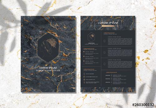 Marble Resume Layout with Gold Accents - 260300132