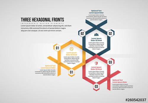 Three Hexagonal Front Infographic - 260542037
