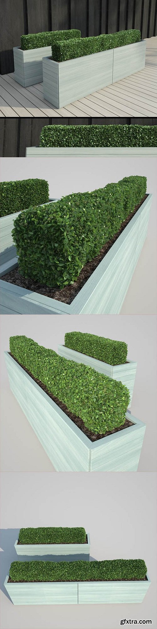 Modern Hedge 2