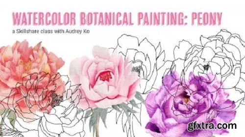 Watercolor Botanical Painting: Peony