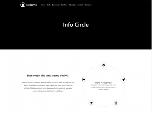 Info Circle Element - Resume WordPress Theme