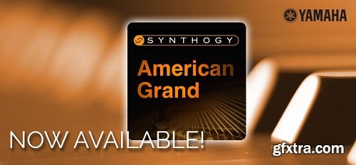 Synthogy American \