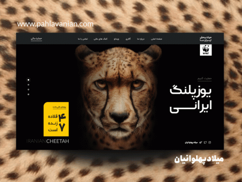 Iranian Cheetah ( RTL + LTR )