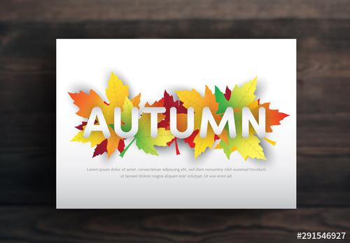 Card Layout with Autumn Leaf Illustrations - 291546927