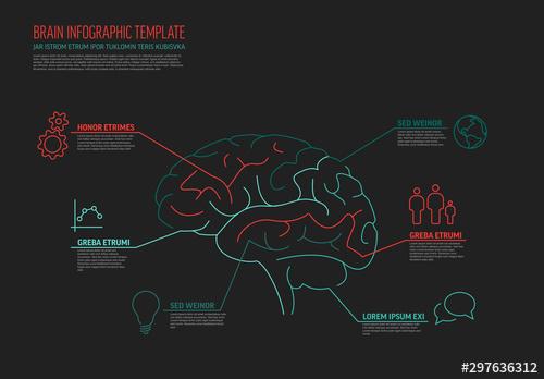 Dark Infographic with Brain Illustration - 297636312