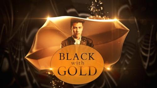Videohive - Black with Gold - 23144791