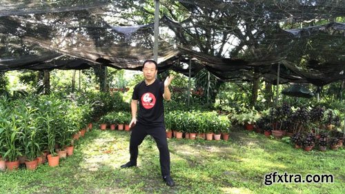 Tai Chi Chen Style for Beginner - Strengthens Mind and Body