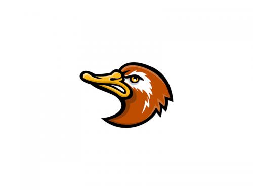 Laysan Duck Head Mascot