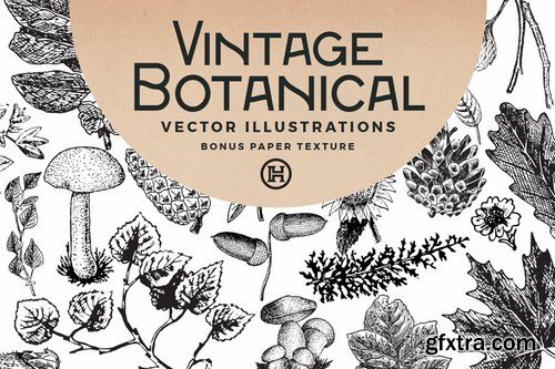 Vintage Botanical Vector