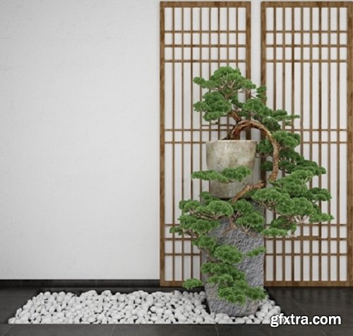 Pine plant 3d model