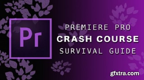 Premiere Pro 2020 | Crash Course Survival Guide