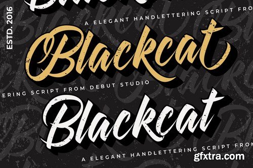 Blackcat Script Regular and Extruded