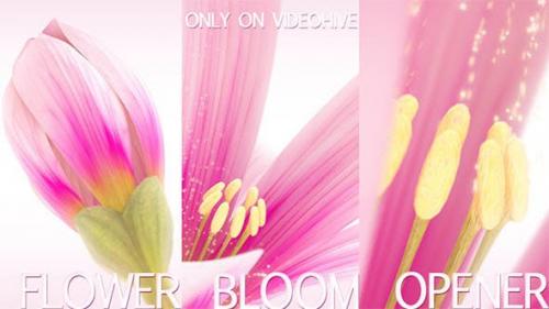 Videohive - Flower Bloom Logo - 5909787