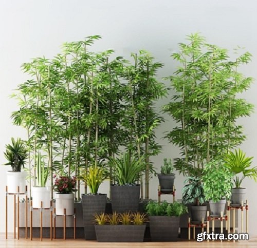 Modern potted plants 11 3D model