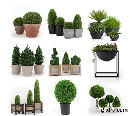 Modern potted plants 12 3D model