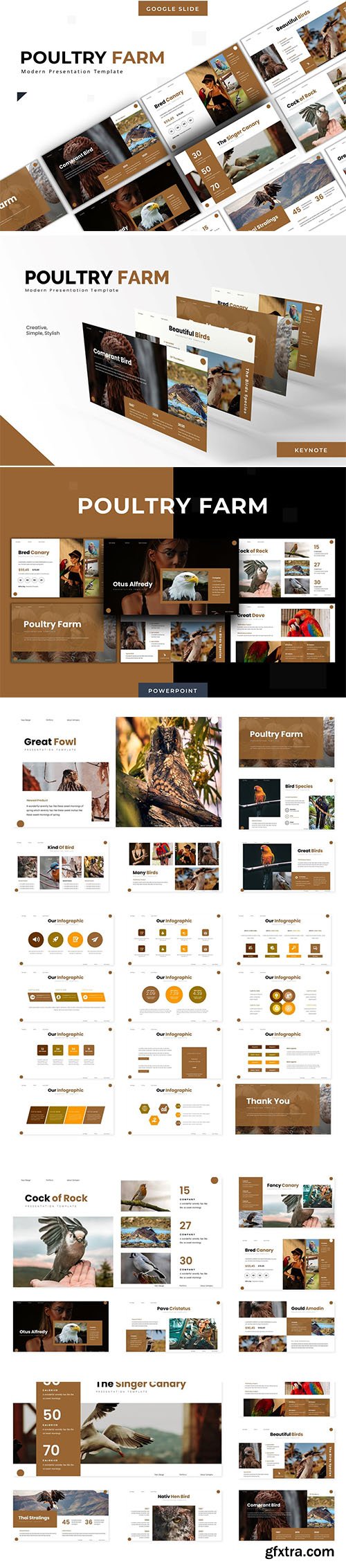 Poultry Farm - Powerpoint, Keynote and Google Slide Template