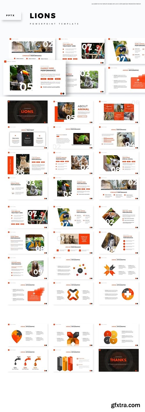 Lions Powerpoint, Keynote and Google Slides Templates
