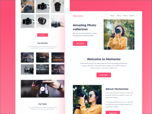 Photography Newsletter Template