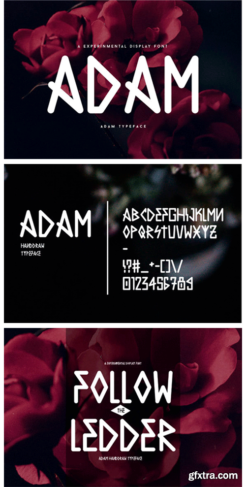 Adam Font