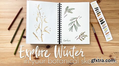 Explore Winter in Your Botanical Sketchbook