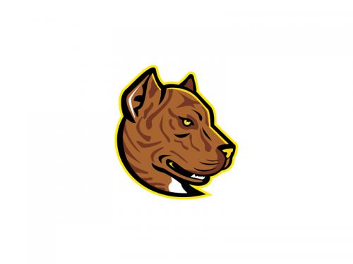 Spanish Bulldog or Spanish Alano Mascot
