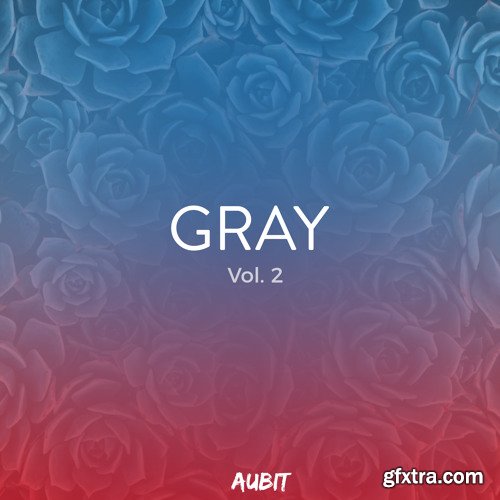 Aubit Sound Gray Vol 2 MULTiFORMAT-DECiBEL