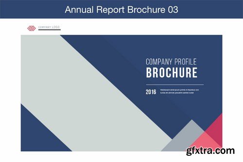 Annual Report Brochure 03