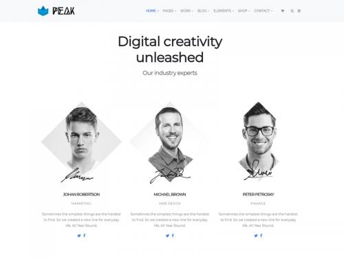 Team Members View - Peak WordPress Theme