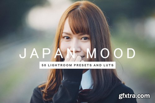 CreativeMarket - 50 Japan Mood Lightroom Presets LUTs 4435306
