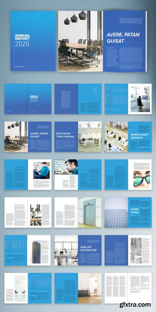 Multipurpose Annual Report with Blue Accents Brochure Layout 314544166