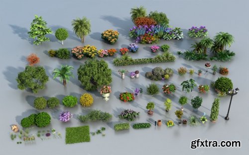 Outdoor Bush Plants / Flowers