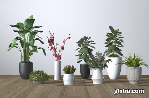 Modern potted plants 14 3D model