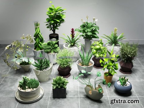 Modern potted plants 15 3D model