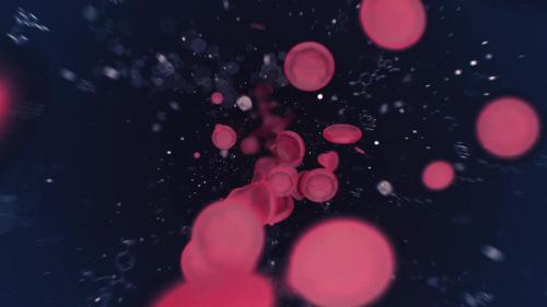 MotionElements - Blood Cells - 13488247