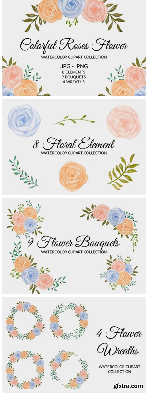 Colorful Rose Flower Watercolor Clipart 2775255