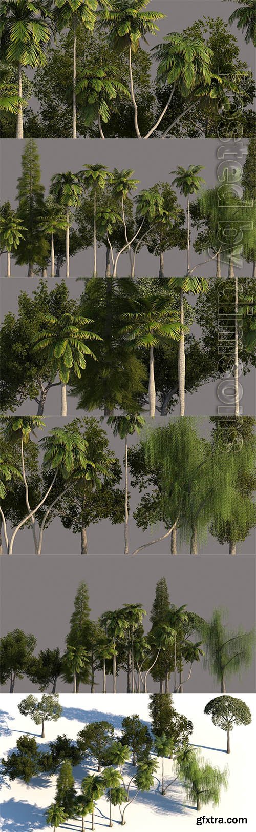 Cgtrader - Tree Pack 01 3D model