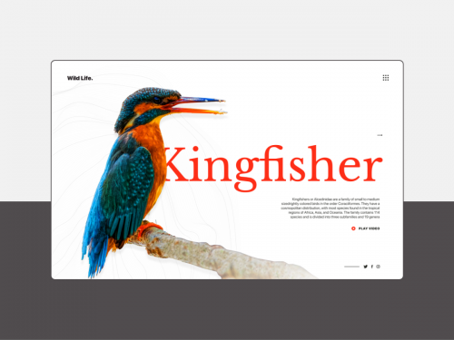 UI/UX/Interaction Design - Kingfisher Landing Page