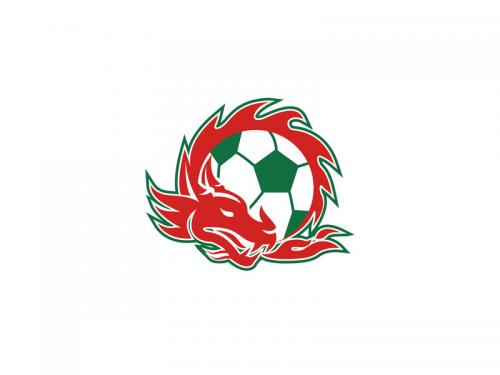 Welsh Dragon Soccer Ball