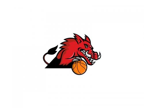 Wild Boar Basketball Mascot