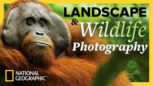 TheGreatCoursesPlus - The National Geographic Guide to Landscape and Wildlife Photography