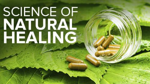 TheGreatCoursesPlus - The Science of Natural Healing