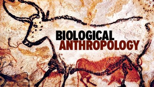 TheGreatCoursesPlus - Biological Anthropology: An Evolutionary Perspective