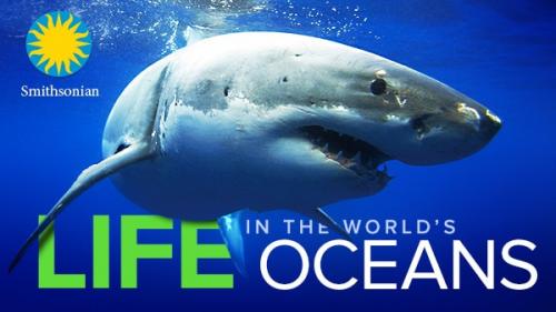 TheGreatCoursesPlus - Life in the World's Oceans