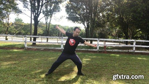 Aerobic Tai Chi Workout - Original Chen Style Old Form Two