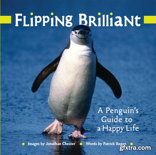 Flipping Brilliant: A Penguin\'s Guide to a Happy Life