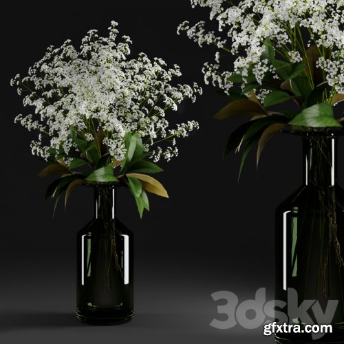 Gypsophila and magnolia leaves in bottle