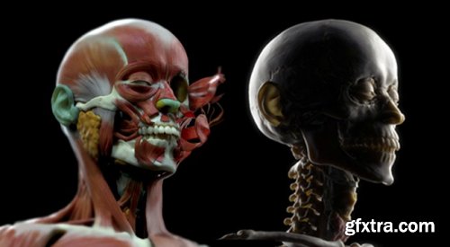 CGMA – Character Facial Sculpting with Dmitrij Leppee
